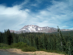 Mt Shasta 